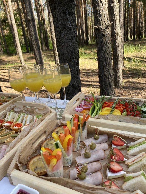 Выездной фуршет на природе с закусками и напитками